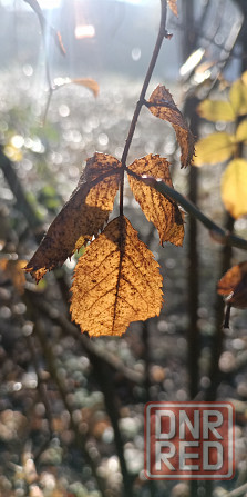 Видеомонтаж, обработка фото Макеевка - изображение 4