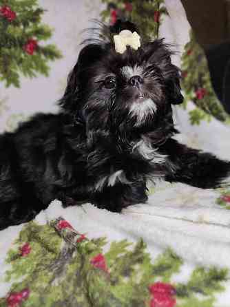 Продажа Донецк