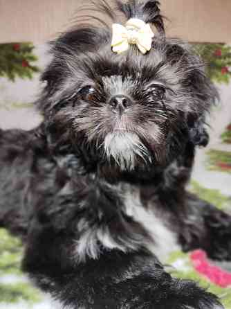 Продажа Донецк