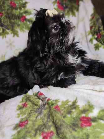 Продажа Донецк