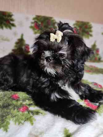 Продажа Донецк