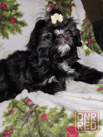 Продажа Донецк - изображение 1