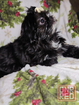 Продажа Донецк - изображение 2