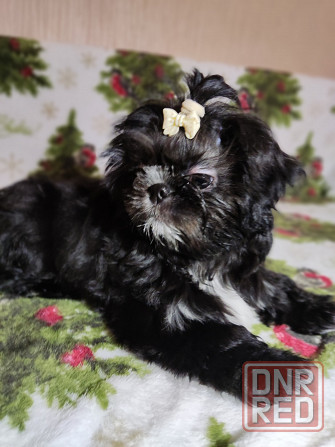 Продажа Донецк - изображение 3