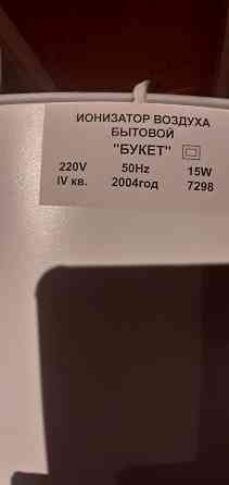 Ионизатор воздуха Букет Донецк
