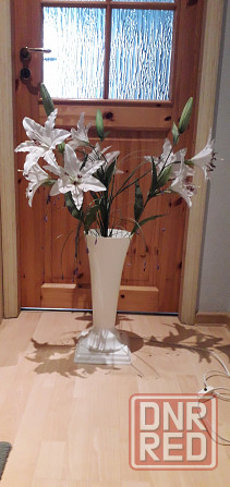 Ионизатор воздуха Букет Донецк - изображение 2