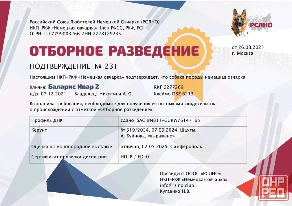 Предлагается к вязке кобель немецкой овчарки Донецк - изображение 8
