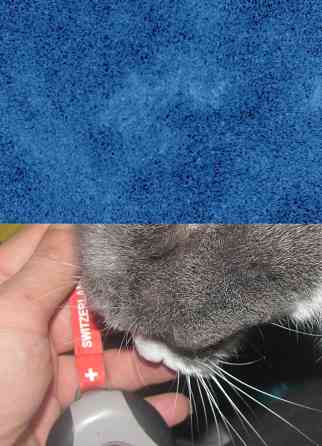 #DeadCompany шизо #Злистів Донецк