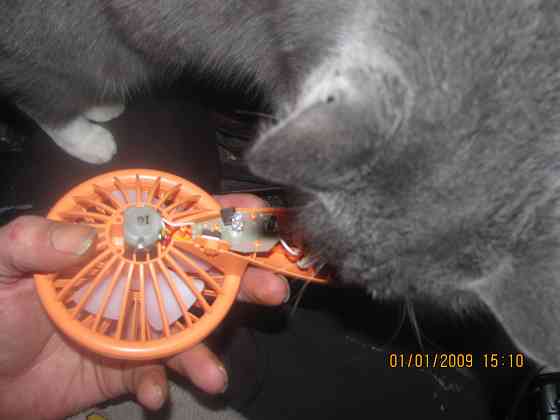 Дa "shlong" brothers in arms Донецк