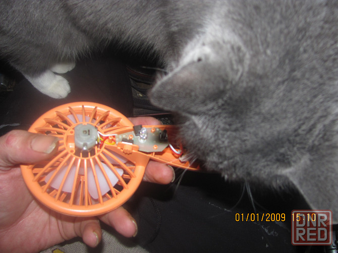 Дa "shlong" brothers in arms Донецк - изображение 1