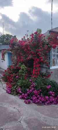 Продаётся Дом г.Новоазовск Новоазовск