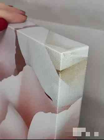 Картина на стену "Нежные розы", 50х100 Донецк