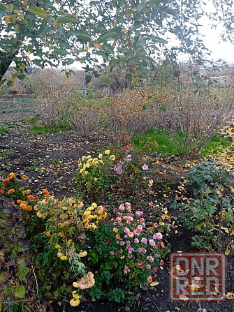 Продается дом Шахтерск - изображение 10