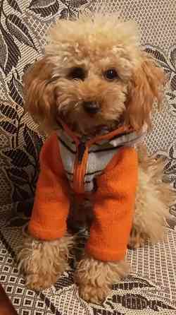 продам Мариуполь