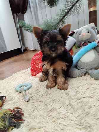 Продам Алчевск