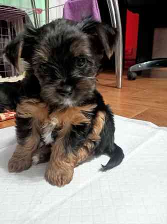 Продам Алчевск