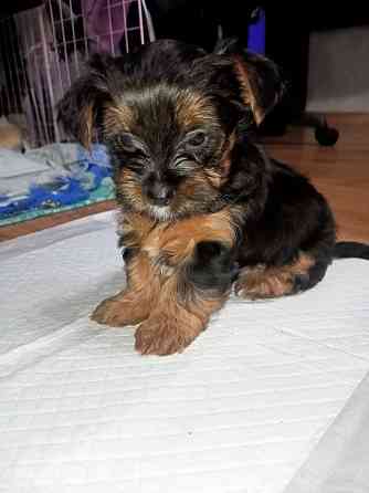 Продам Алчевск