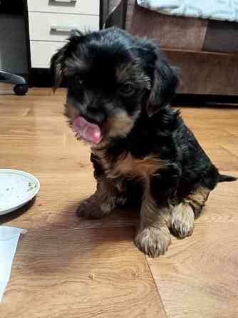 Продам Алчевск