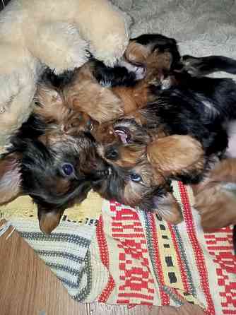 Продам Алчевск