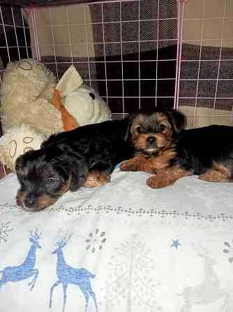 Продам Алчевск