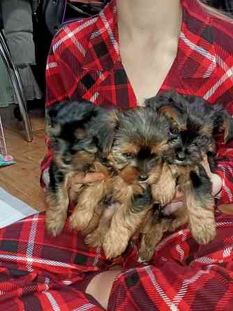 Продам Алчевск