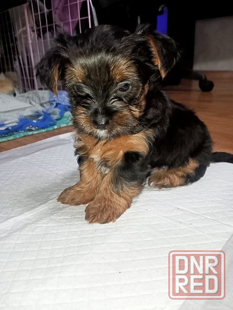 Продам Алчевск - изображение 5