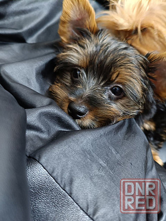 Продам Алчевск - изображение 1