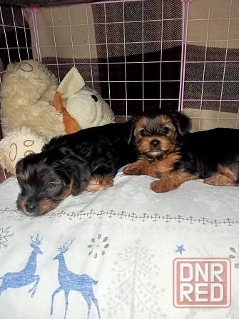 Продам Алчевск - изображение 4