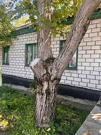 Продам 2а дома на участке в городе Луганск улица 22 Линия Луганск