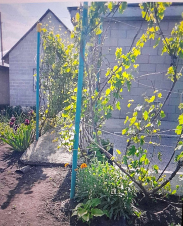 Продажа земельного участка, пос. Новые Поаны Макеевка