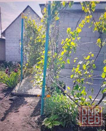 Продажа земельного участка, пос. Новые Поаны Макеевка - изображение 3