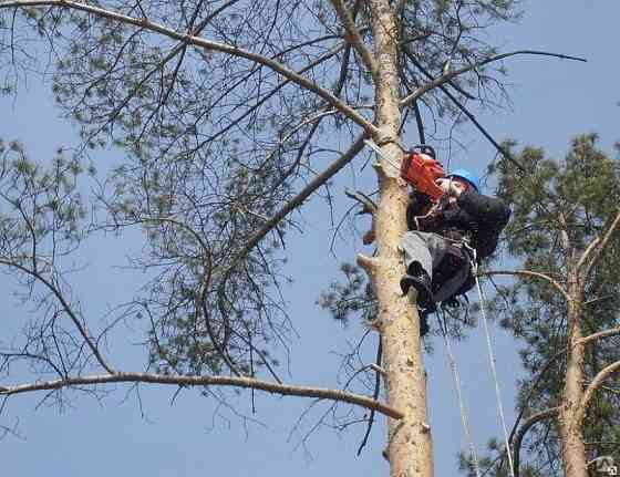 Профессиональные услуги для Вашего дома Донецк