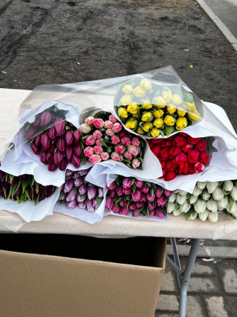 продажа тюльпанов оптом к 8 марта, донецк, днр Донецк