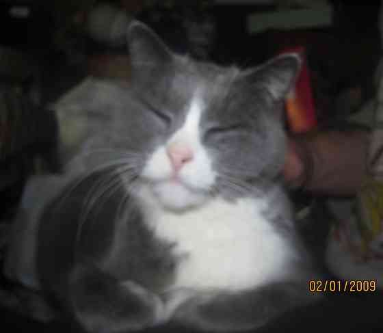 Unidos para Musica Донецк