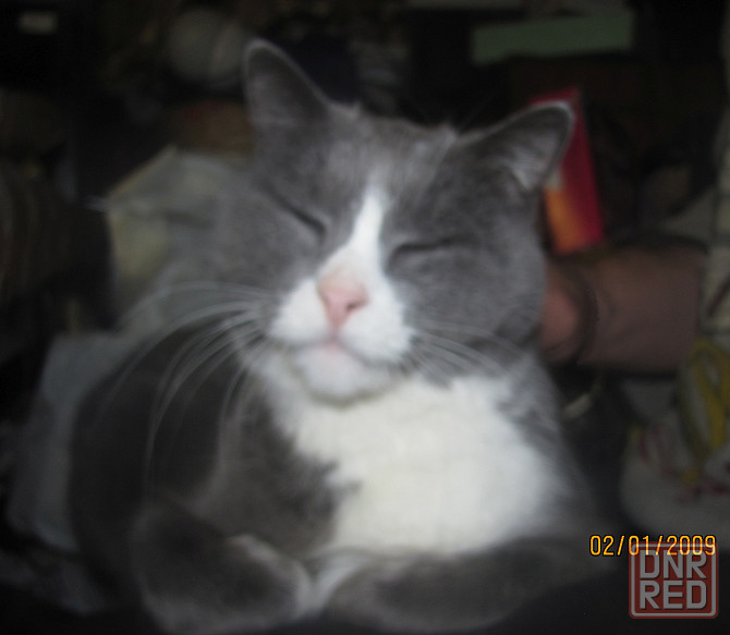 Unidos para Musica Донецк - изображение 1