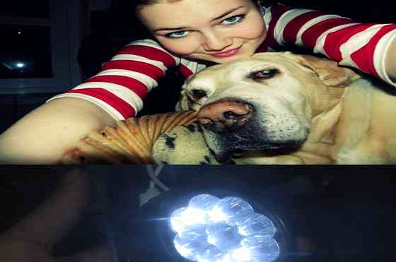 ForzaМаs 'шахтёрски трітейский Донецк