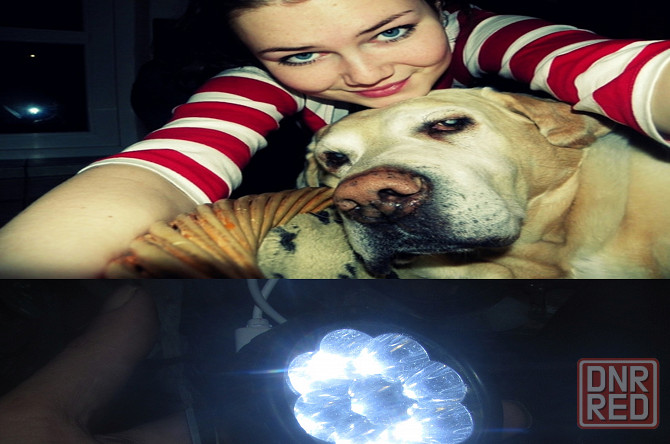 ForzaМаs 'шахтёрски трітейский Донецк - изображение 1