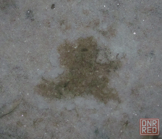 Para Siente" unidos para musica Донецк - изображение 1