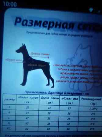 Одежда для собак Комбинезон Донецк