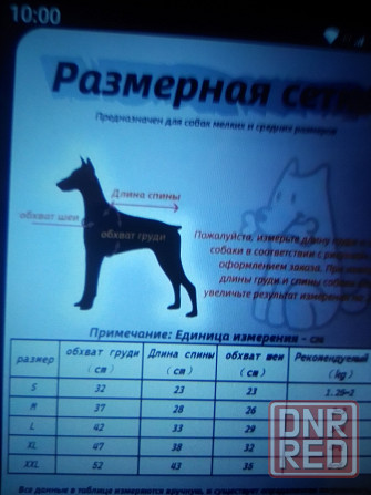 Одежда для собак Комбинезон Донецк - изображение 2