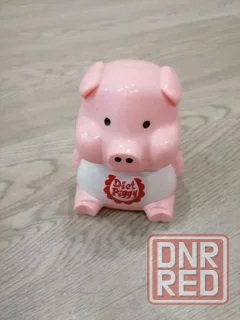 Свинка диетолог Донецк - изображение 1