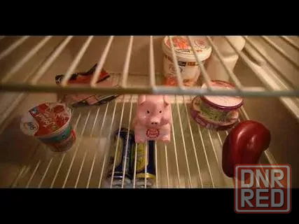 Свинка диетолог Донецк - изображение 2