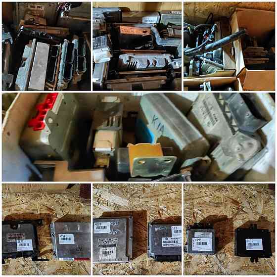 Мозги в продаже Енакиево