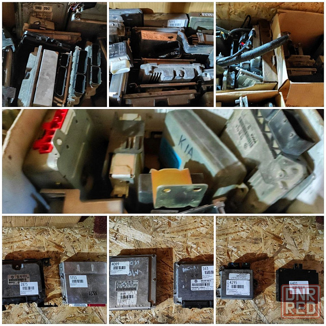 Мозги в продаже Енакиево - изображение 1