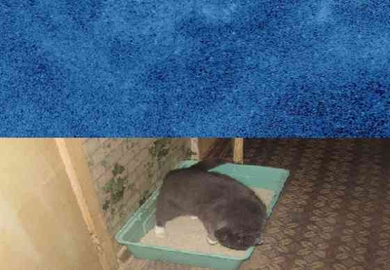 Замерзоит там, моя Kenwood Донецк