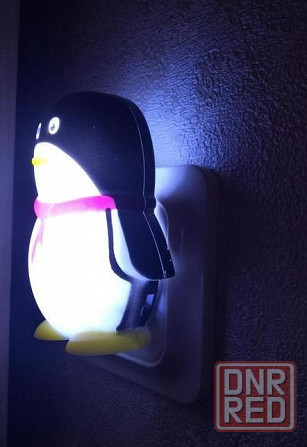 Ночник Макеевка - изображение 3