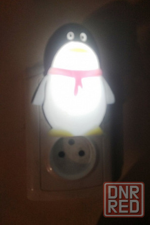 Ночник Макеевка - изображение 2