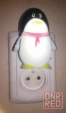 Ночник Макеевка - изображение 1