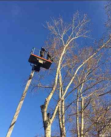 Валка, Спил, Обрезкп деревьев. Донецк, Макеевка. Профессионально Донецк
