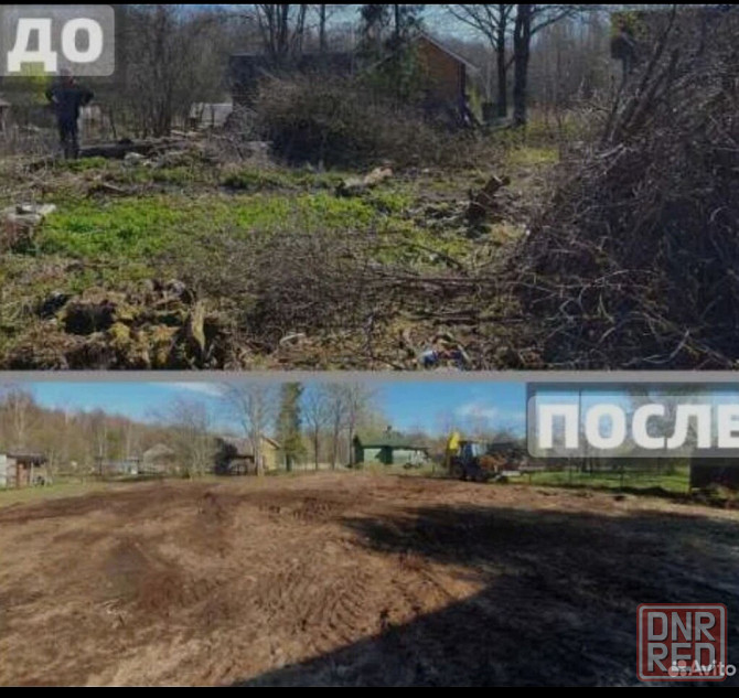 Валка, Спил, Обрезкп деревьев. Донецк, Макеевка. Профессионально Донецк - изображение 5